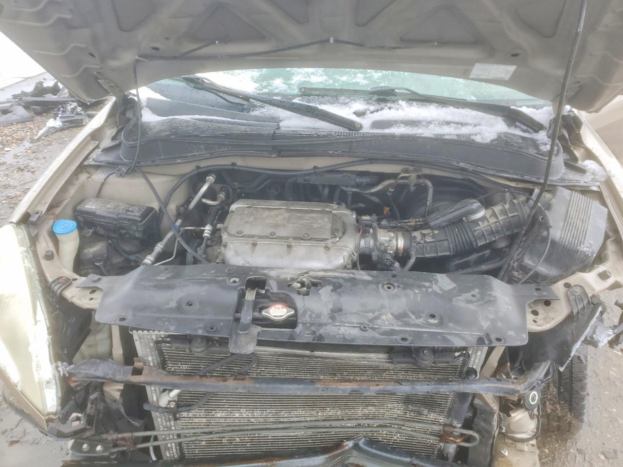 2004 HONDA PILOT EXL photo 11