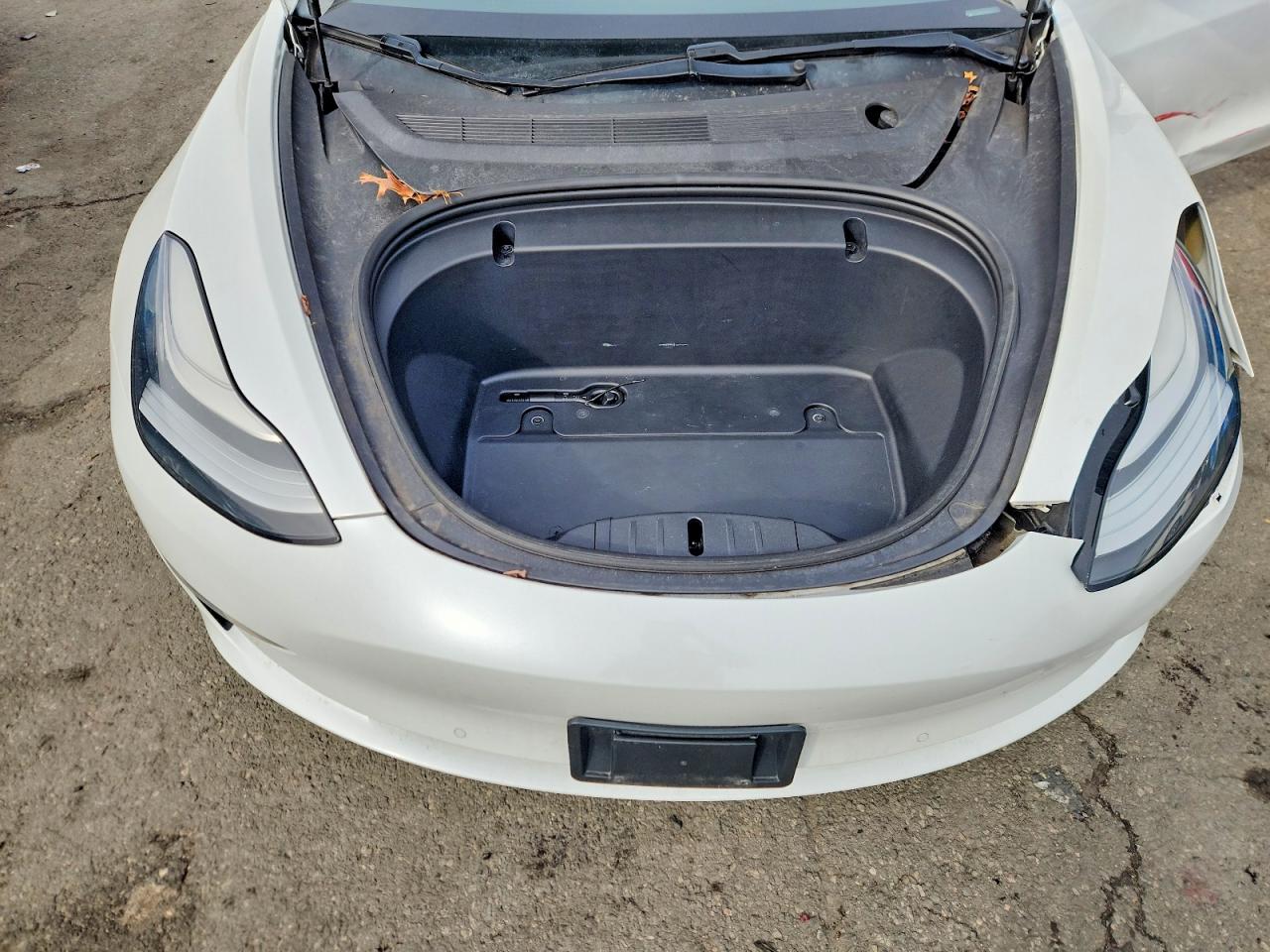 2020 TESLA MODEL 3 photo 21