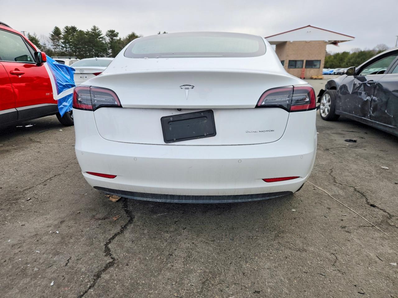 2020 TESLA MODEL 3 photo 11
