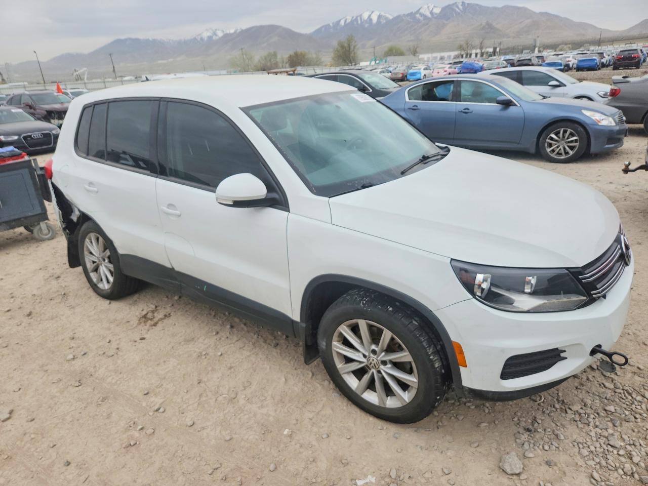 2017 VOLKSWAGEN TIGUAN S photo 10