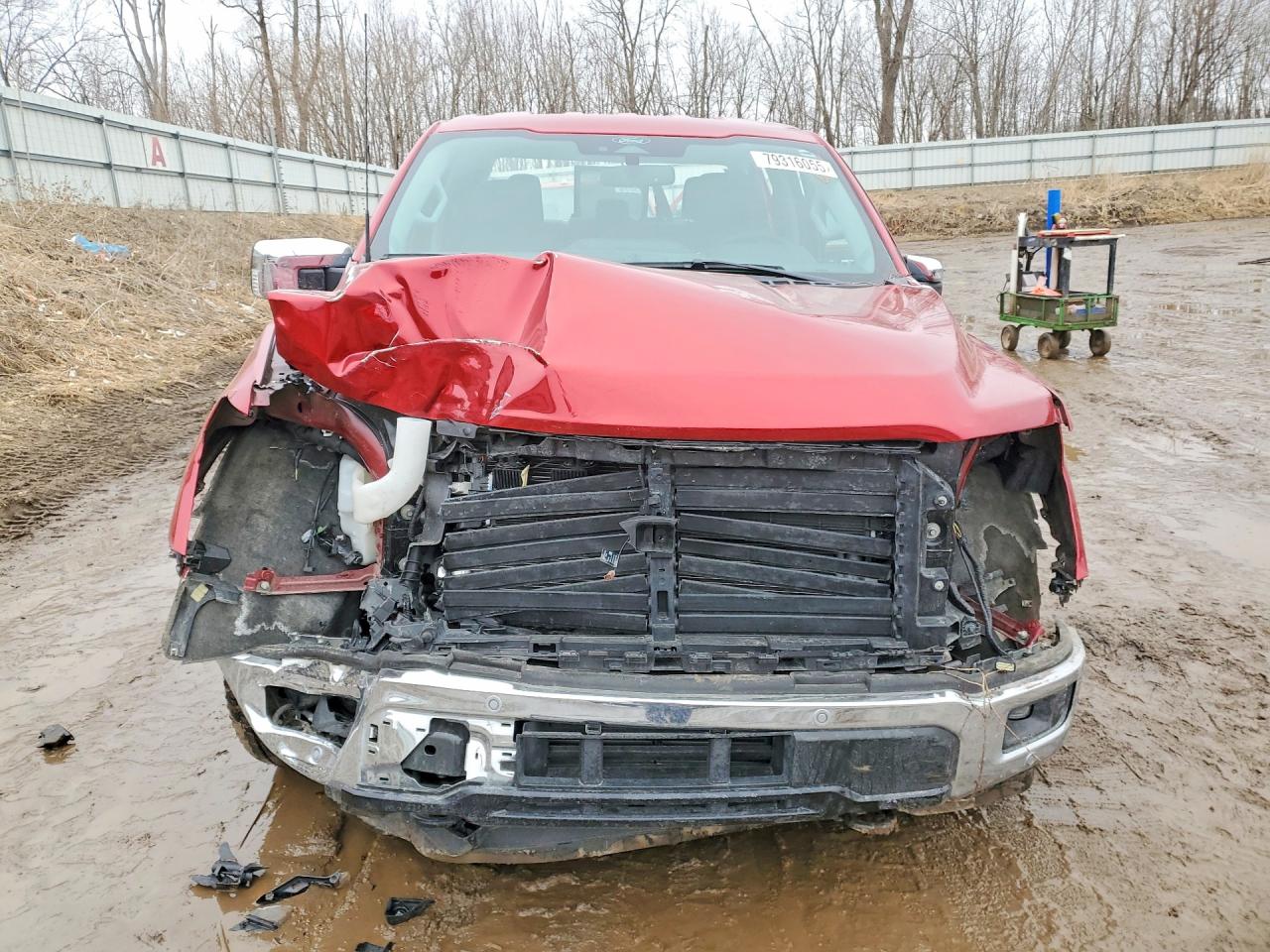 2025 FORD F150 XLT photo 13