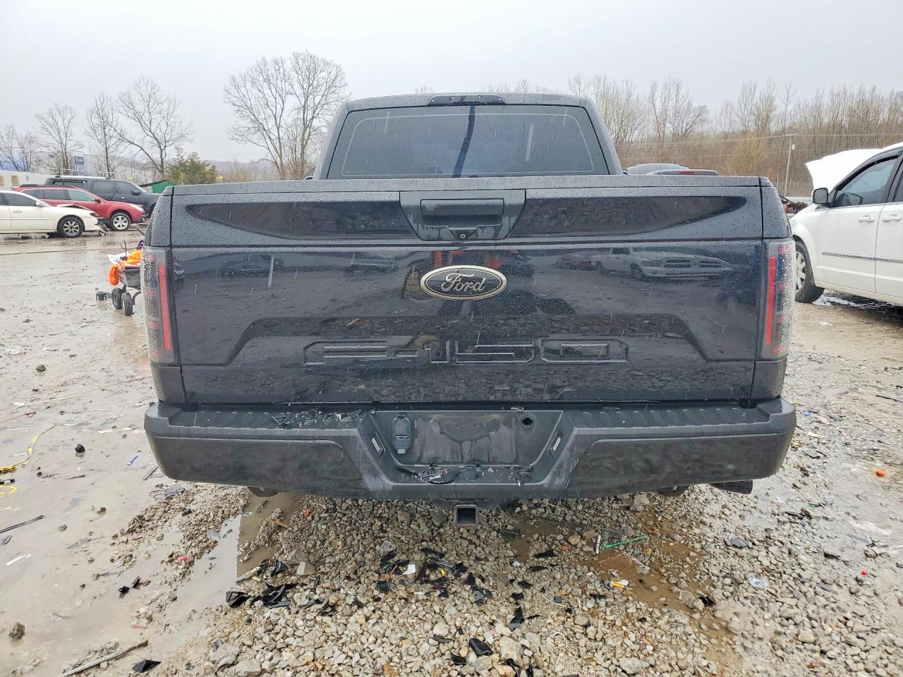 2019 FORD F150 photo 6