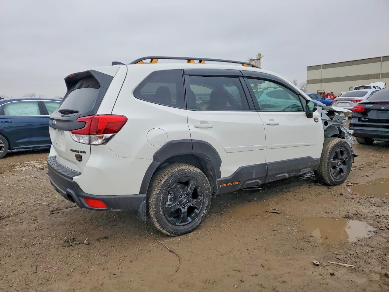 2025 SUBARU FORESTER WILDERNESS photo 3