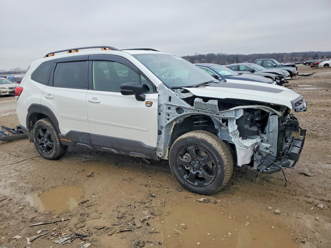2025 SUBARU FORESTER WILDERNESS photo 4