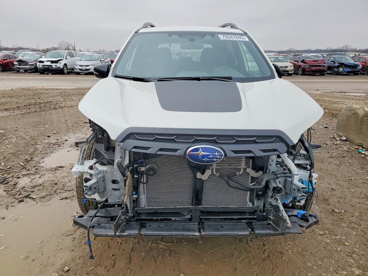 2025 SUBARU FORESTER WILDERNESS photo 5