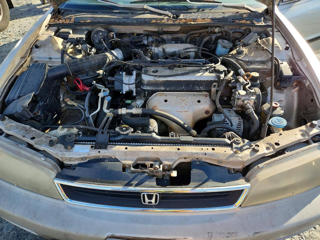 1996 HONDA ACCORD LX photo 11