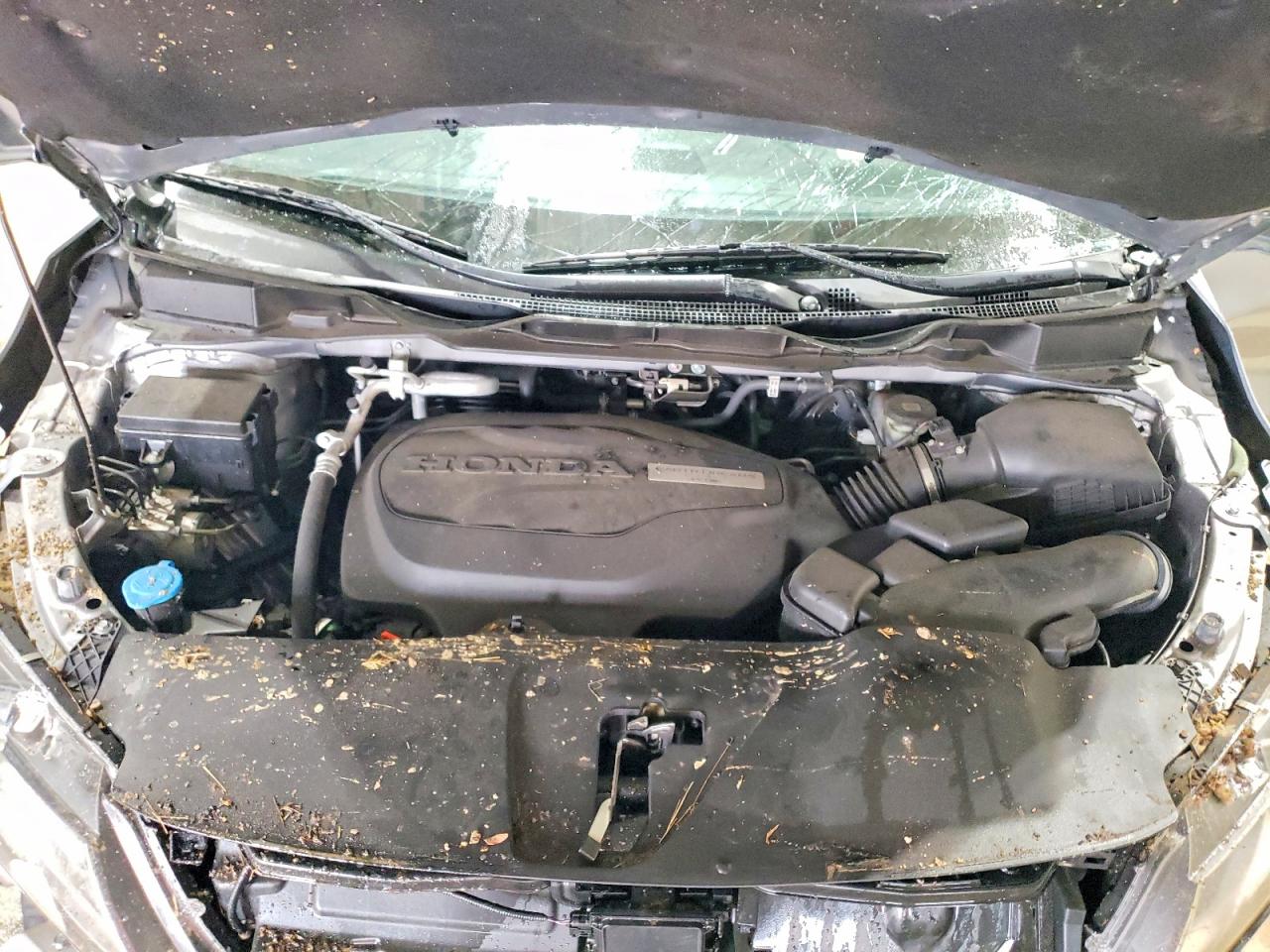 2019 HONDA ODYSSEY EX photo 34