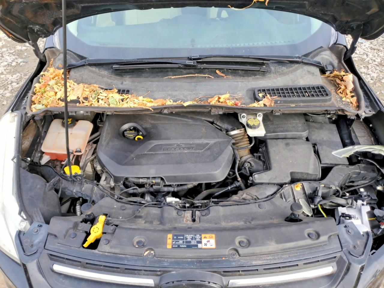 2015 FORD ESCAPE SE photo 21