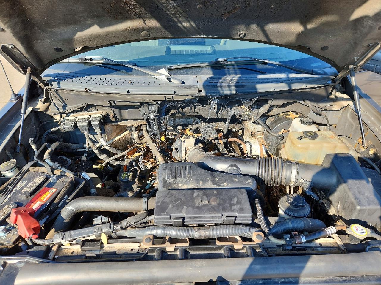 2009 FORD F150 photo 21