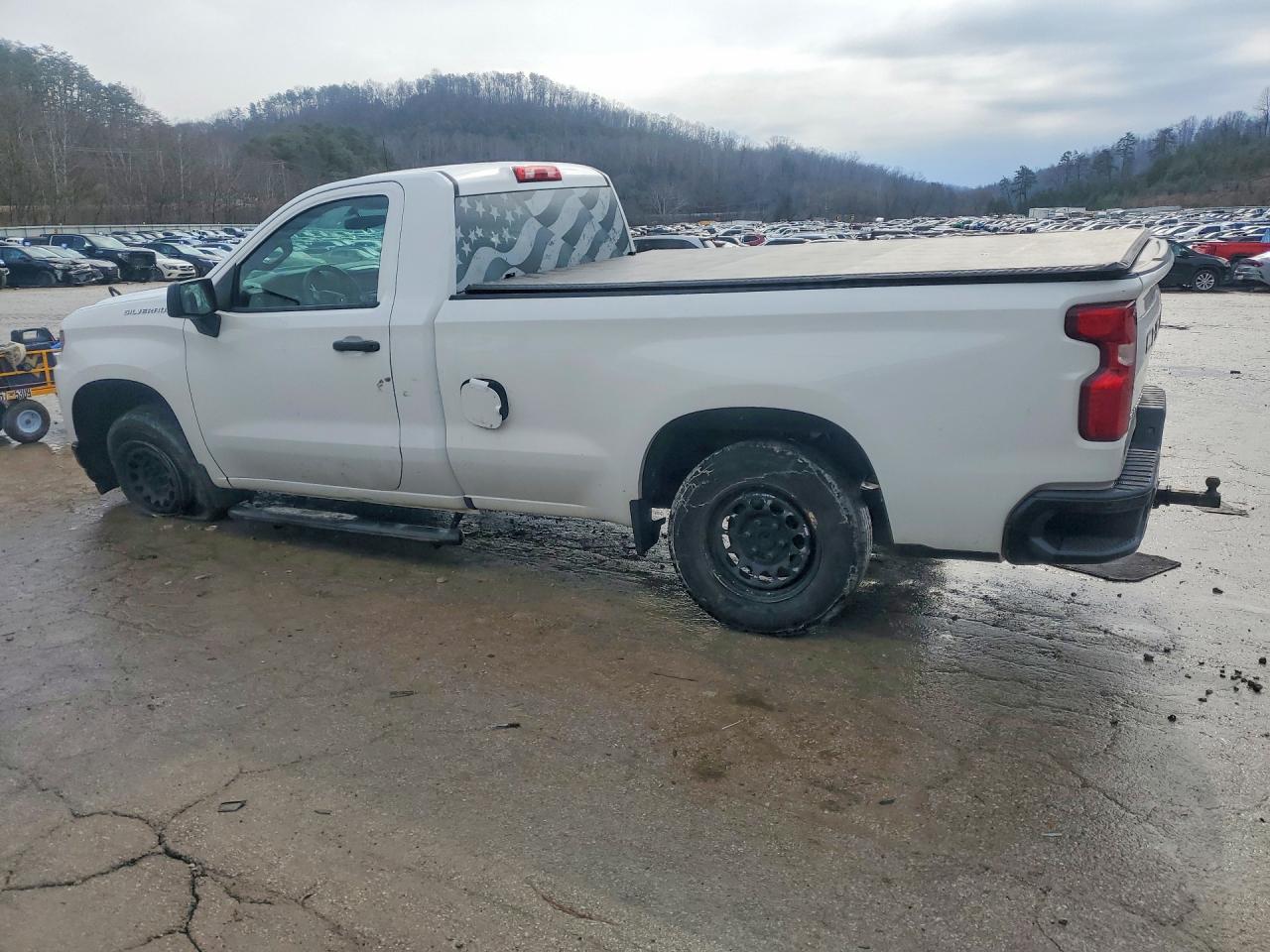 2019 CHEVROLET SILVERADO K1500 photo 2