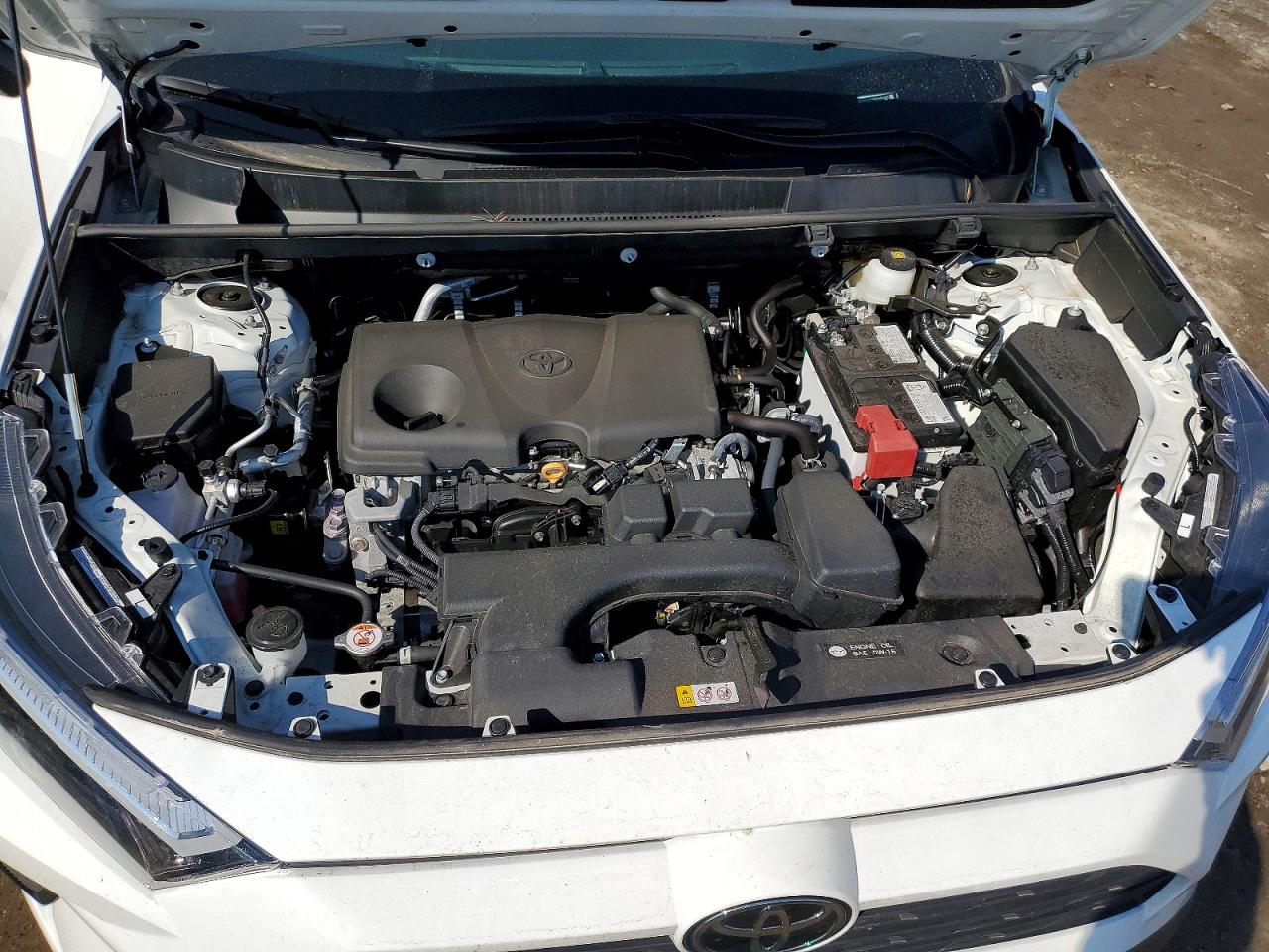 2024 TOYOTA RAV4 XLE photo 23