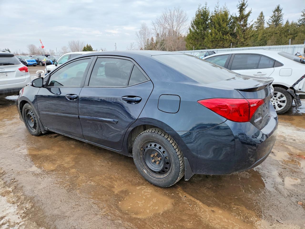 2019 TOYOTA COROLLA L photo 2