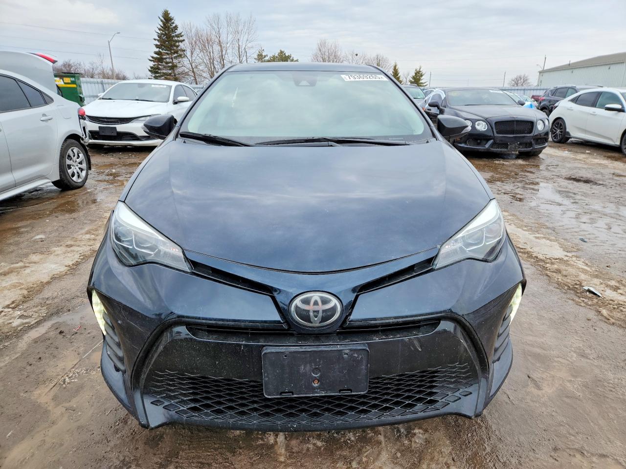 2019 TOYOTA COROLLA L photo 5