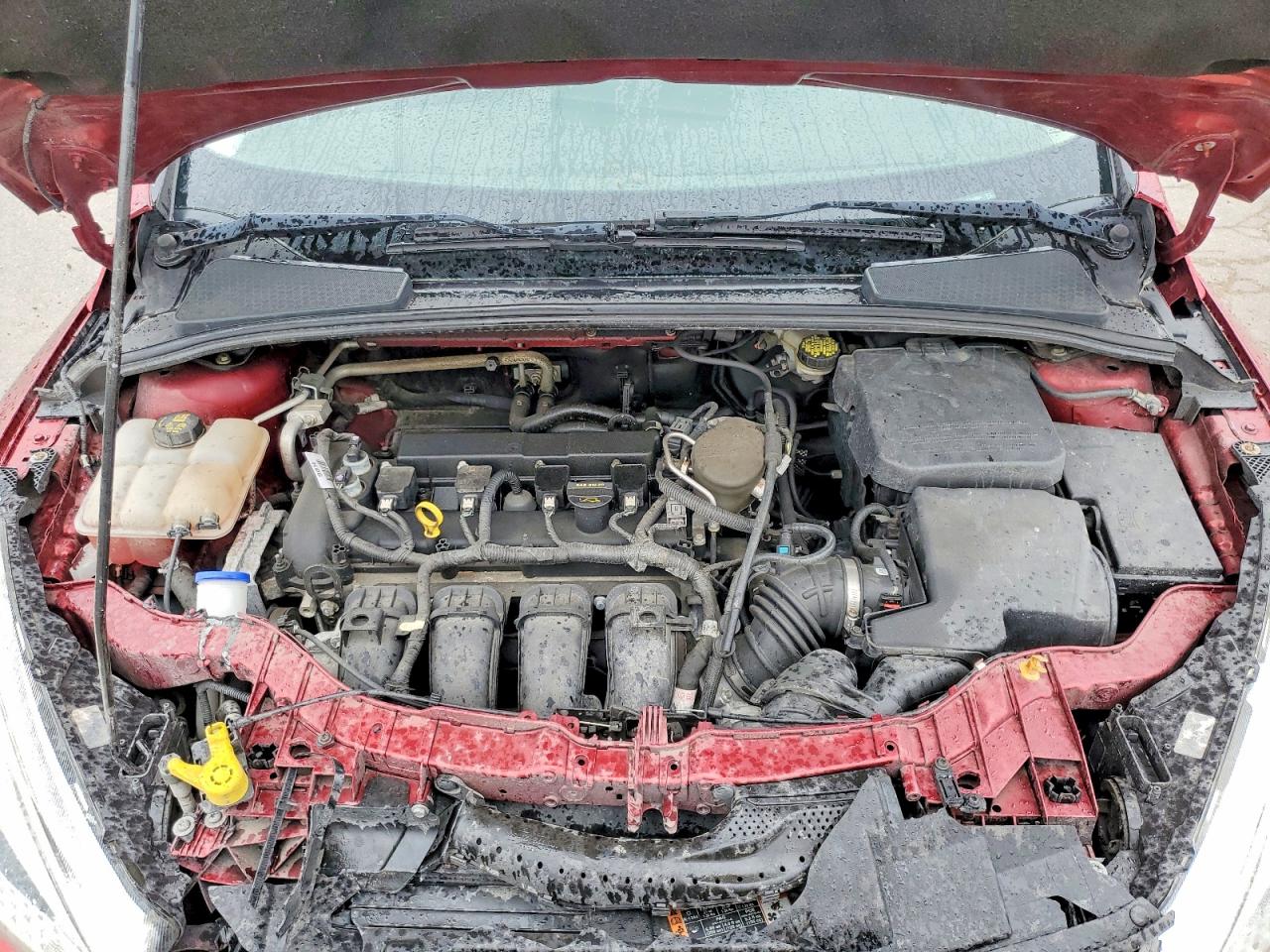 2015 FORD FOCUS SE photo 11