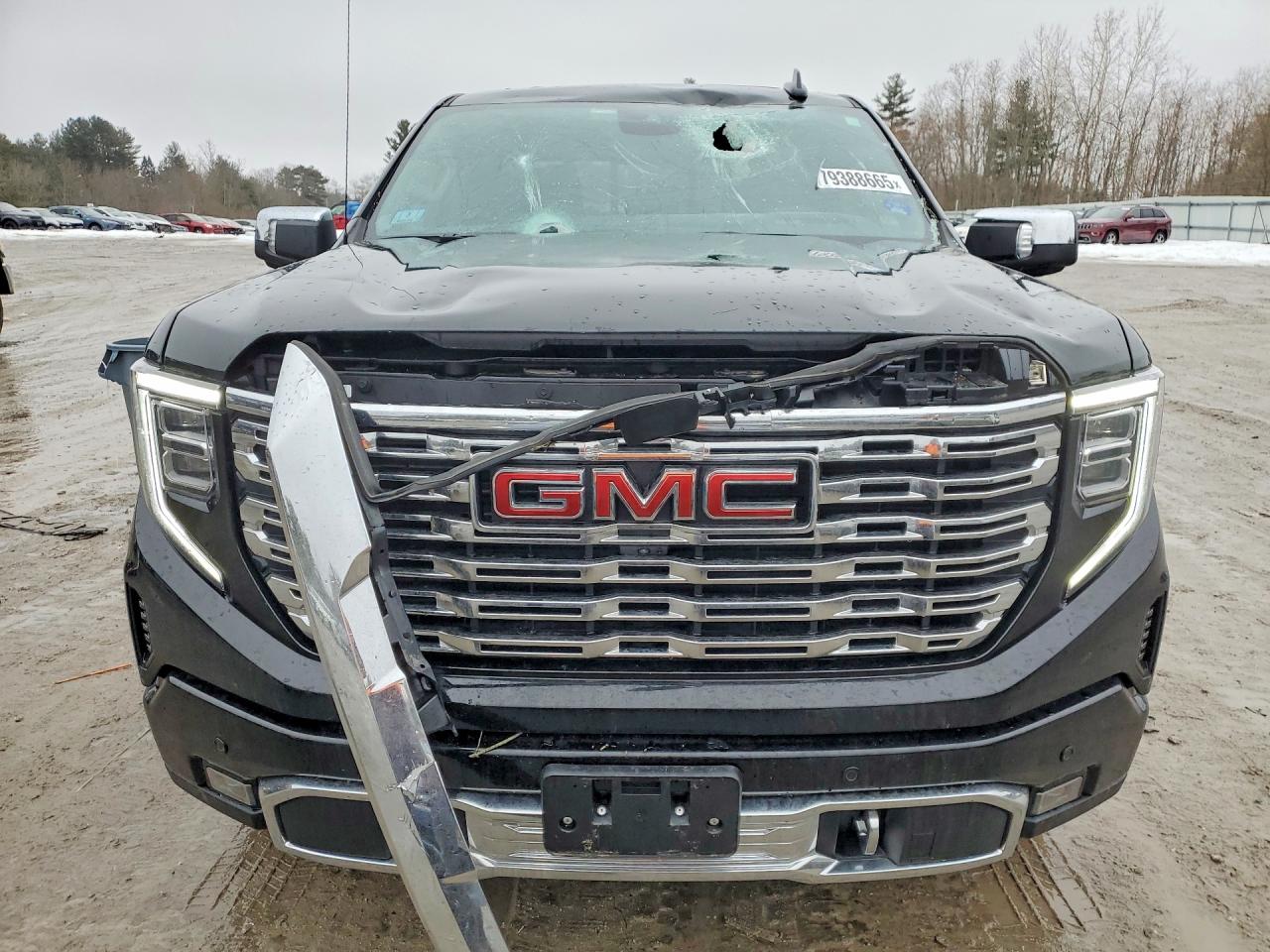 2025 GMC SIERRA K1500 DENALI photo 13