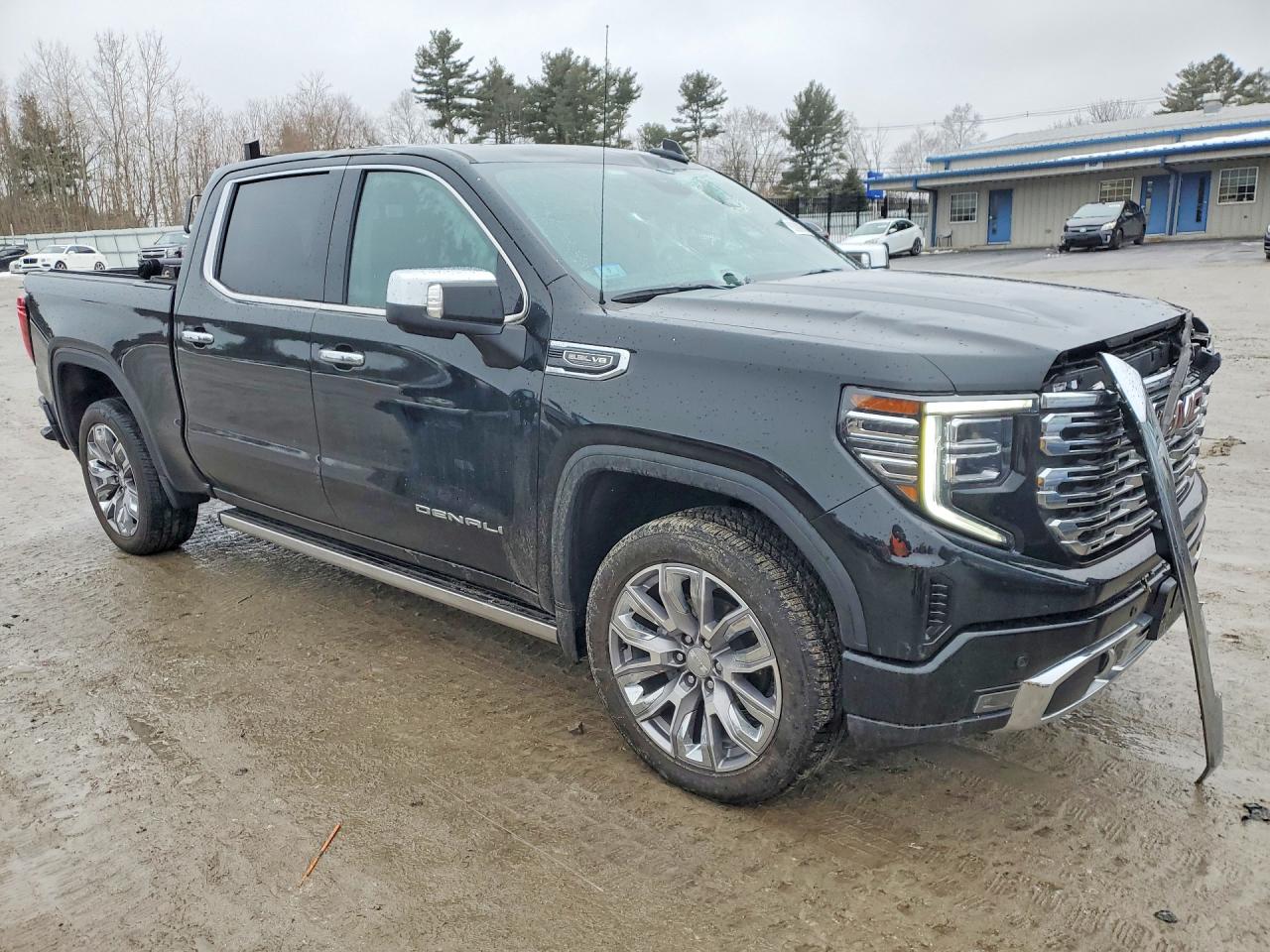 2025 GMC SIERRA K1500 DENALI photo 10