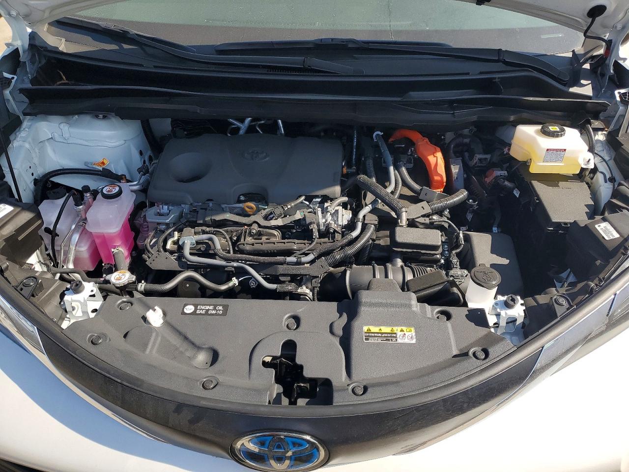 2025 TOYOTA SIENNA XLE 7-PASSENGER photo 12