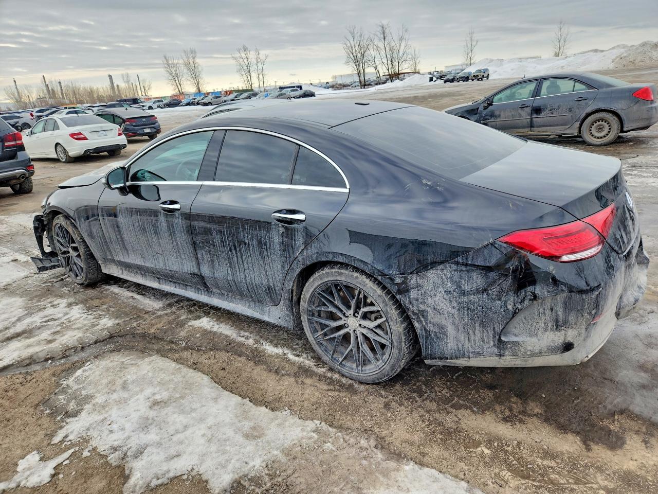 2020 MERCEDES-BENZ CLS 450 4MATIC photo 3