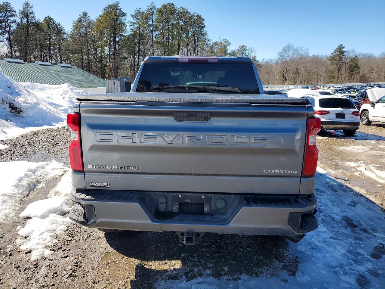 2019 CHEVROLET SILVERADO K1500 CUSTOM photo 11