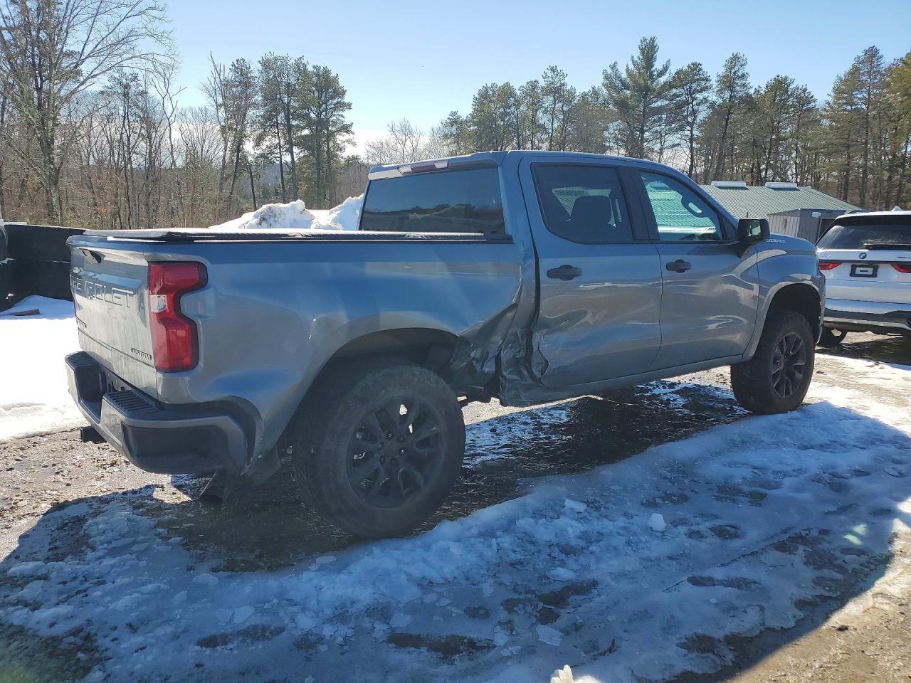2019 CHEVROLET SILVERADO K1500 CUSTOM photo 5
