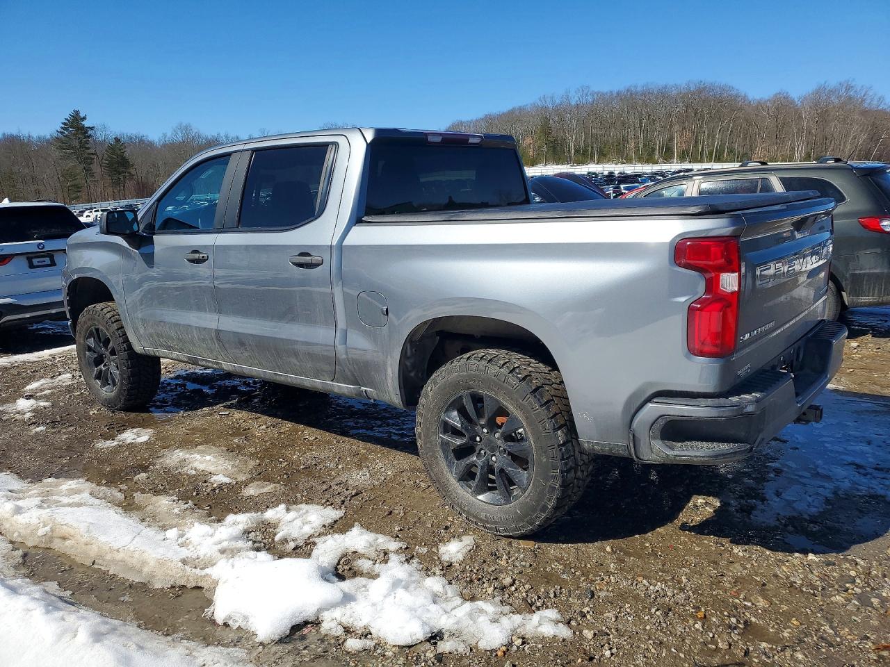 2019 CHEVROLET SILVERADO K1500 CUSTOM photo 3