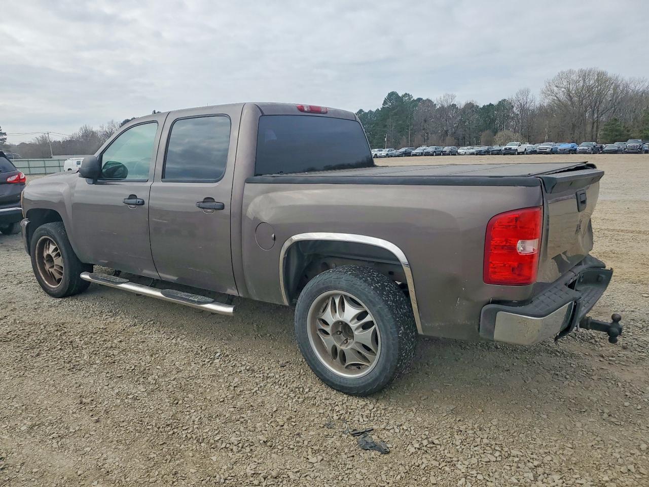 2007 CHEVROLET SILVERADO C1500 CREW CAB photo 3