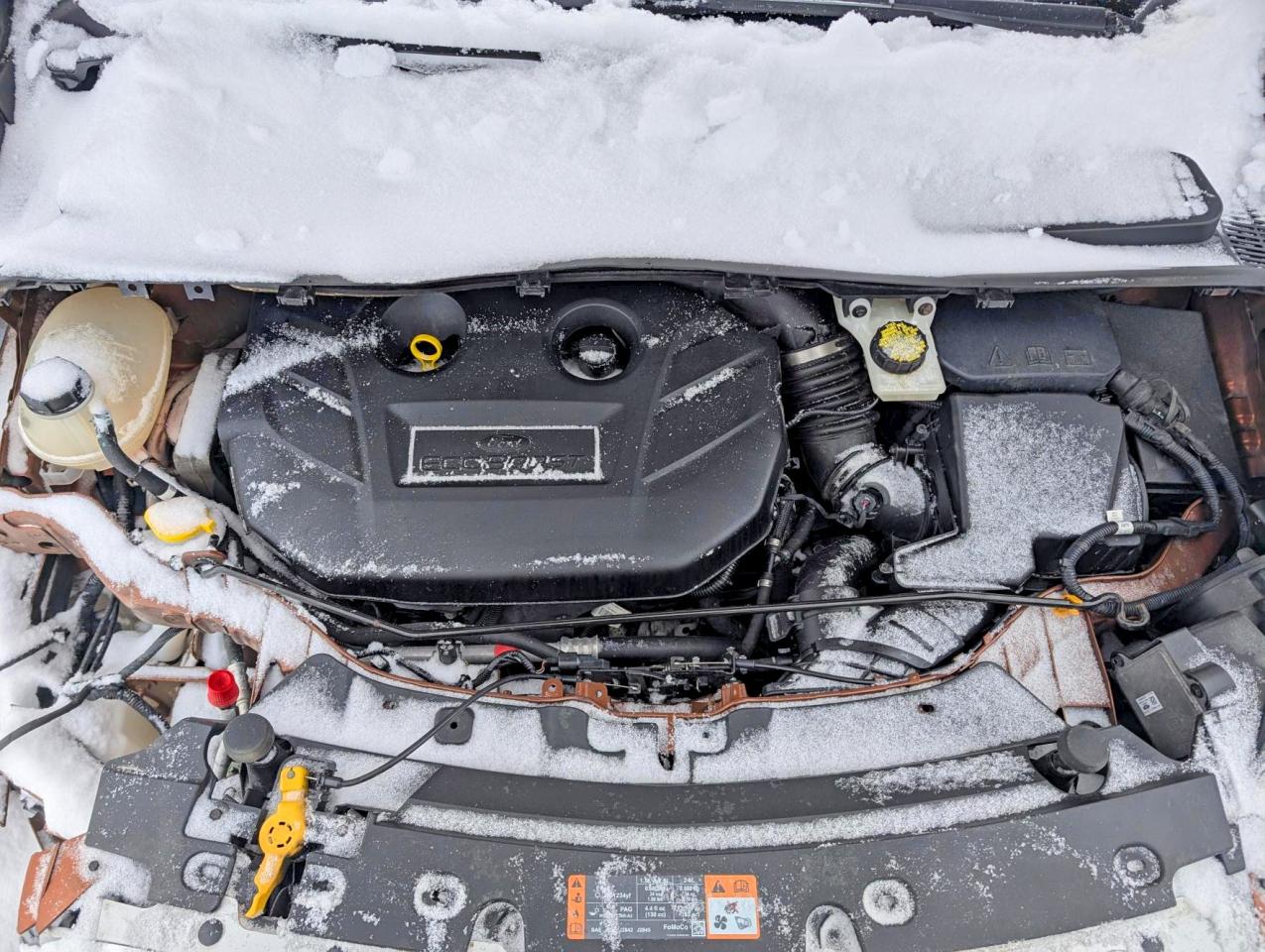 2017 FORD ESCAPE SE photo 31