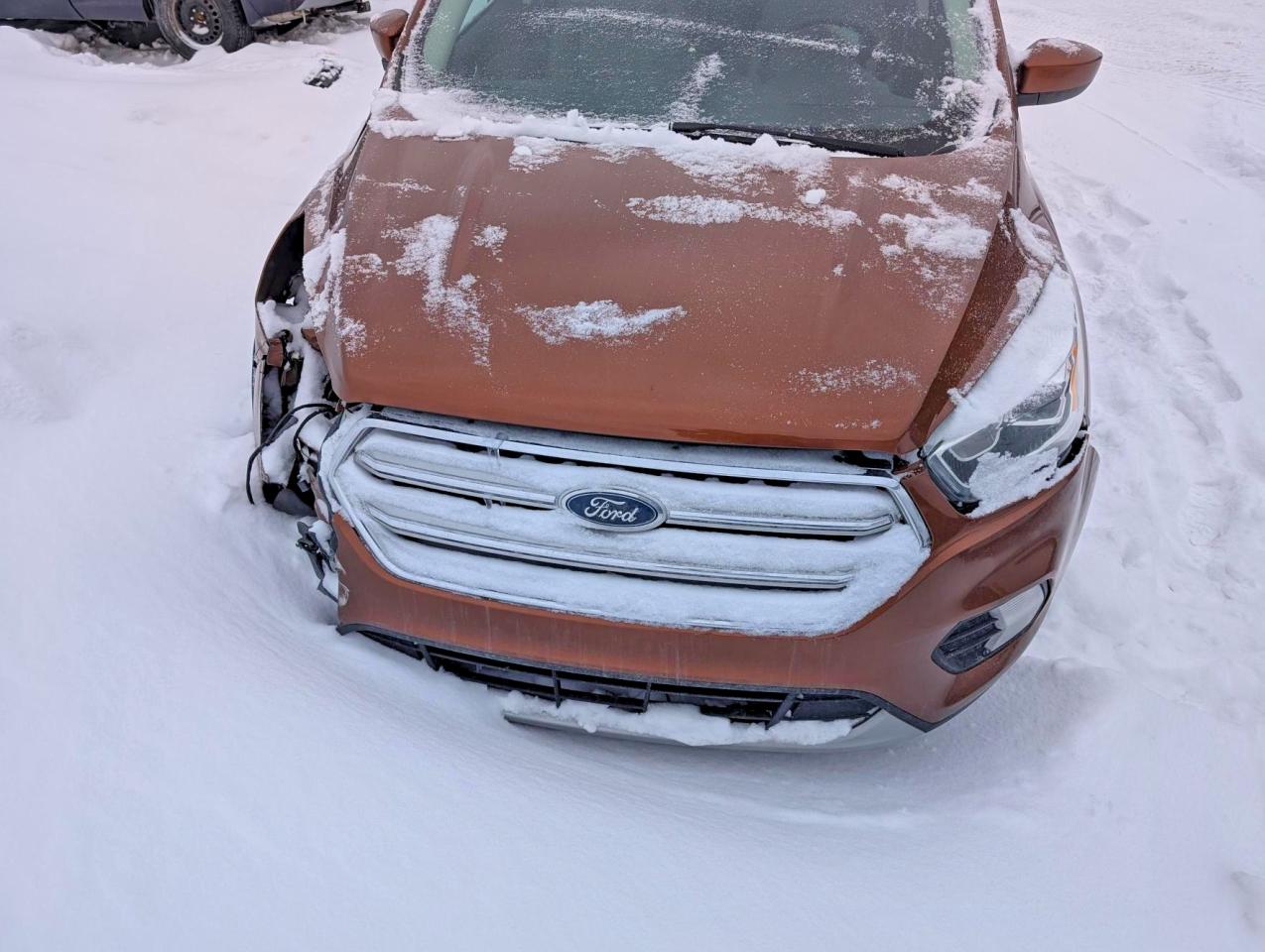2017 FORD ESCAPE SE photo 13