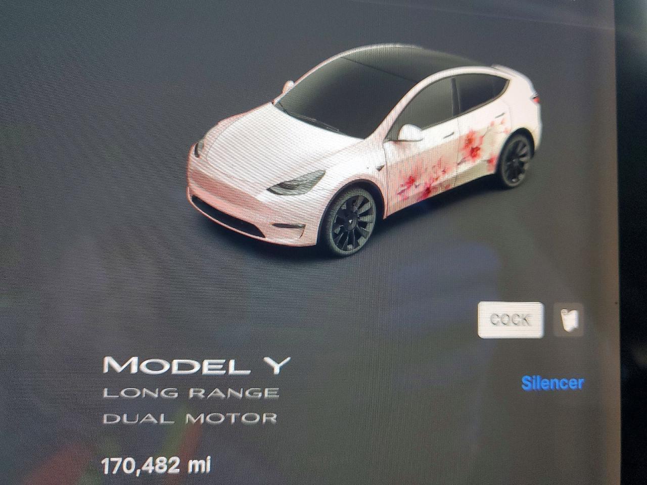 2021 TESLA MODEL Y photo 17