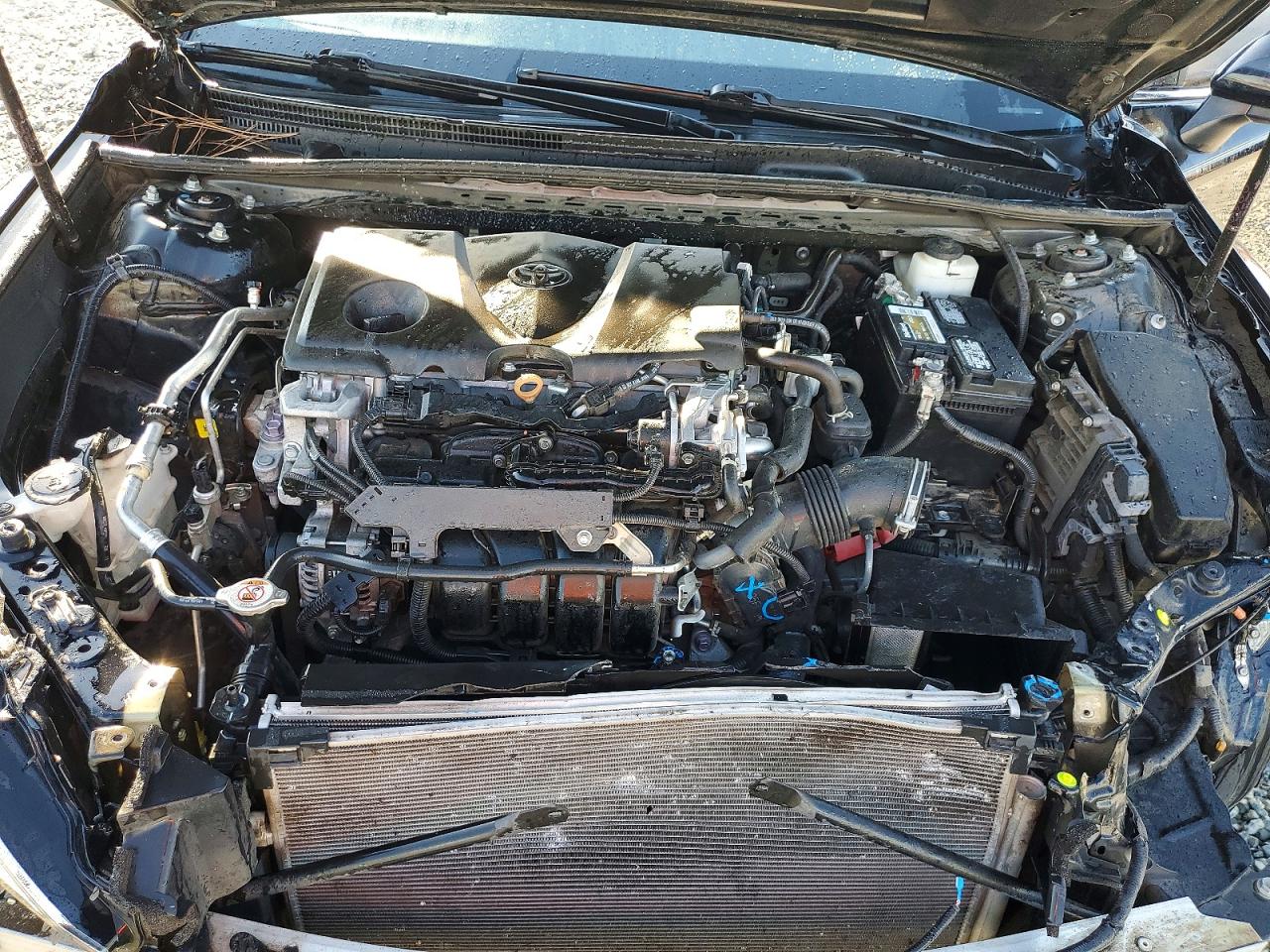 2020 TOYOTA CAMRY SE photo 11