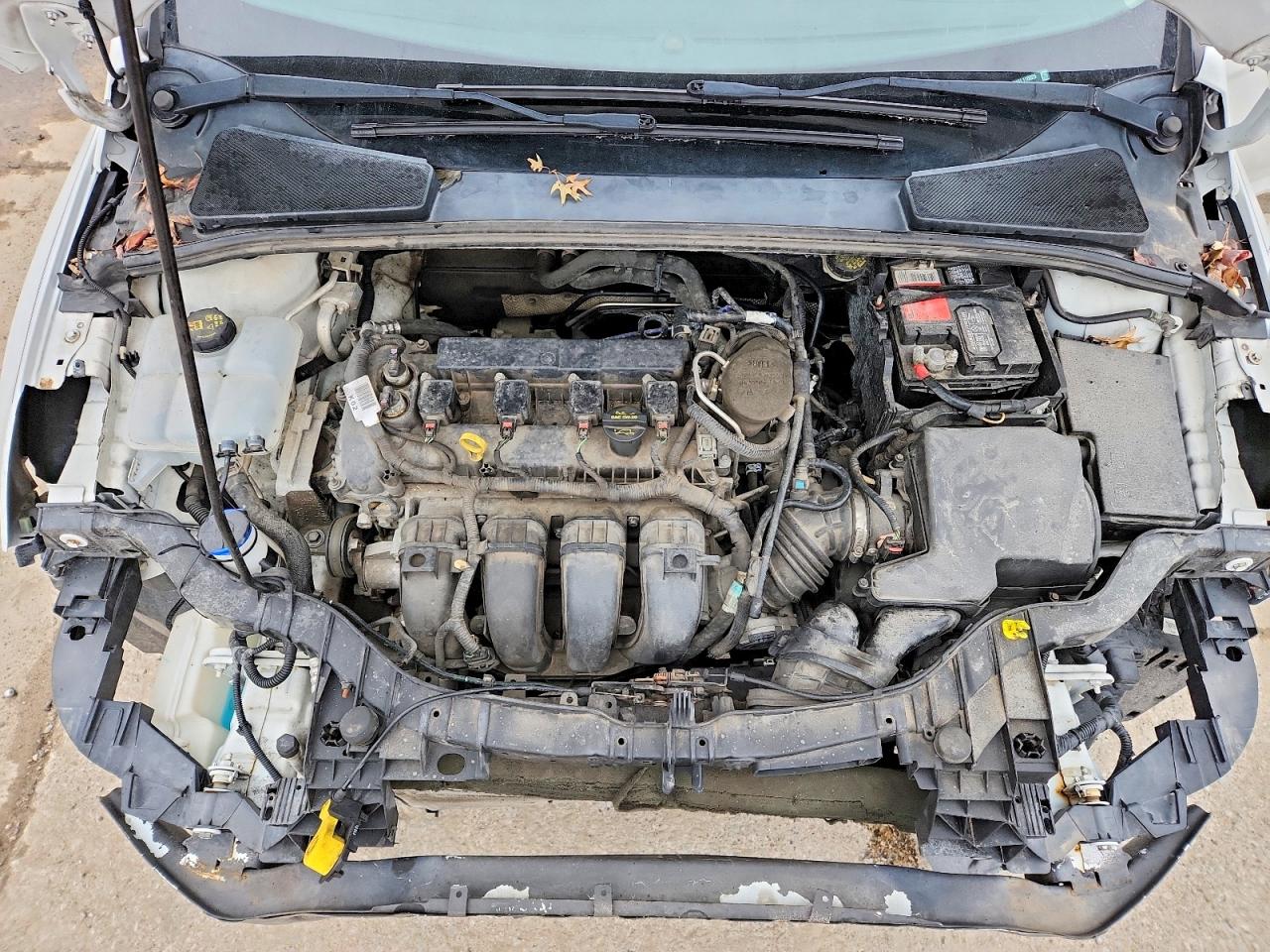 2014 FORD FOCUS SE photo 11