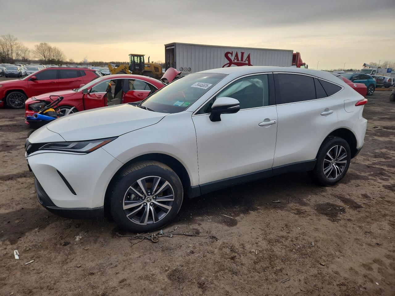 2023 TOYOTA VENZA