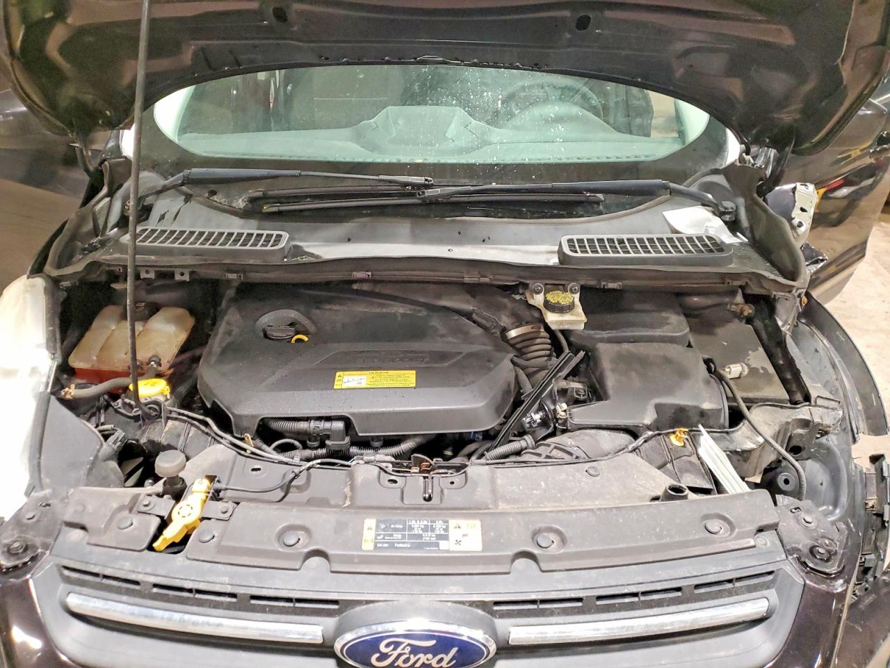 2013 FORD ESCAPE SE photo 12