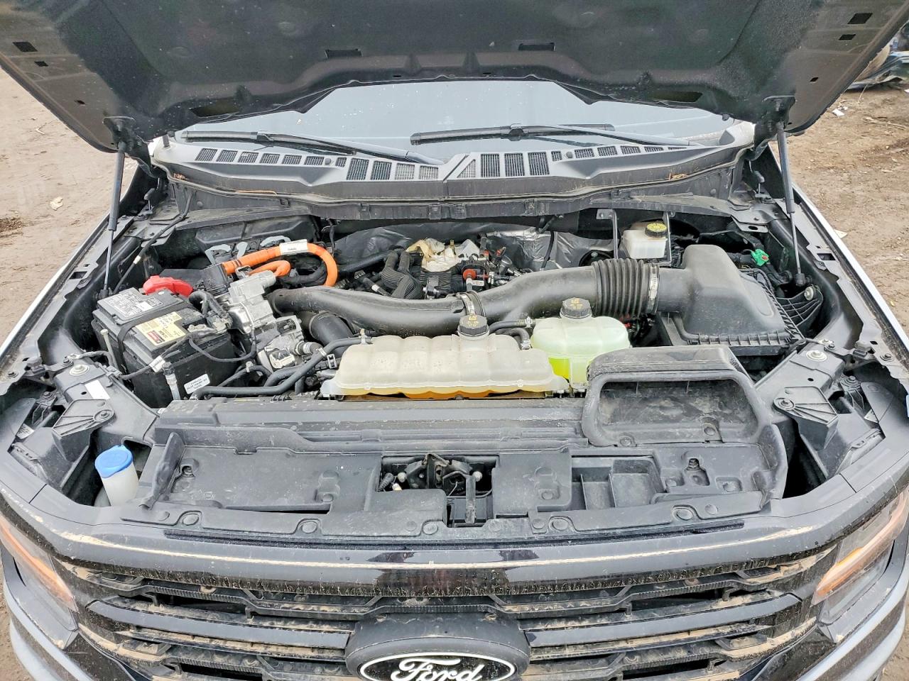2024 FORD F150 XLT photo 11