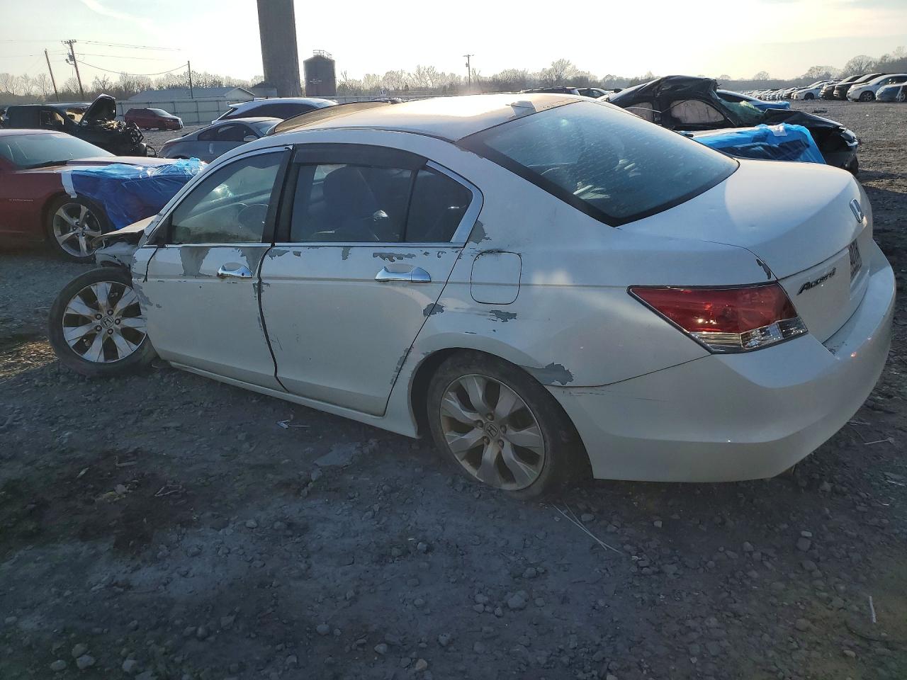 2010 HONDA ACCORD EXL photo 3