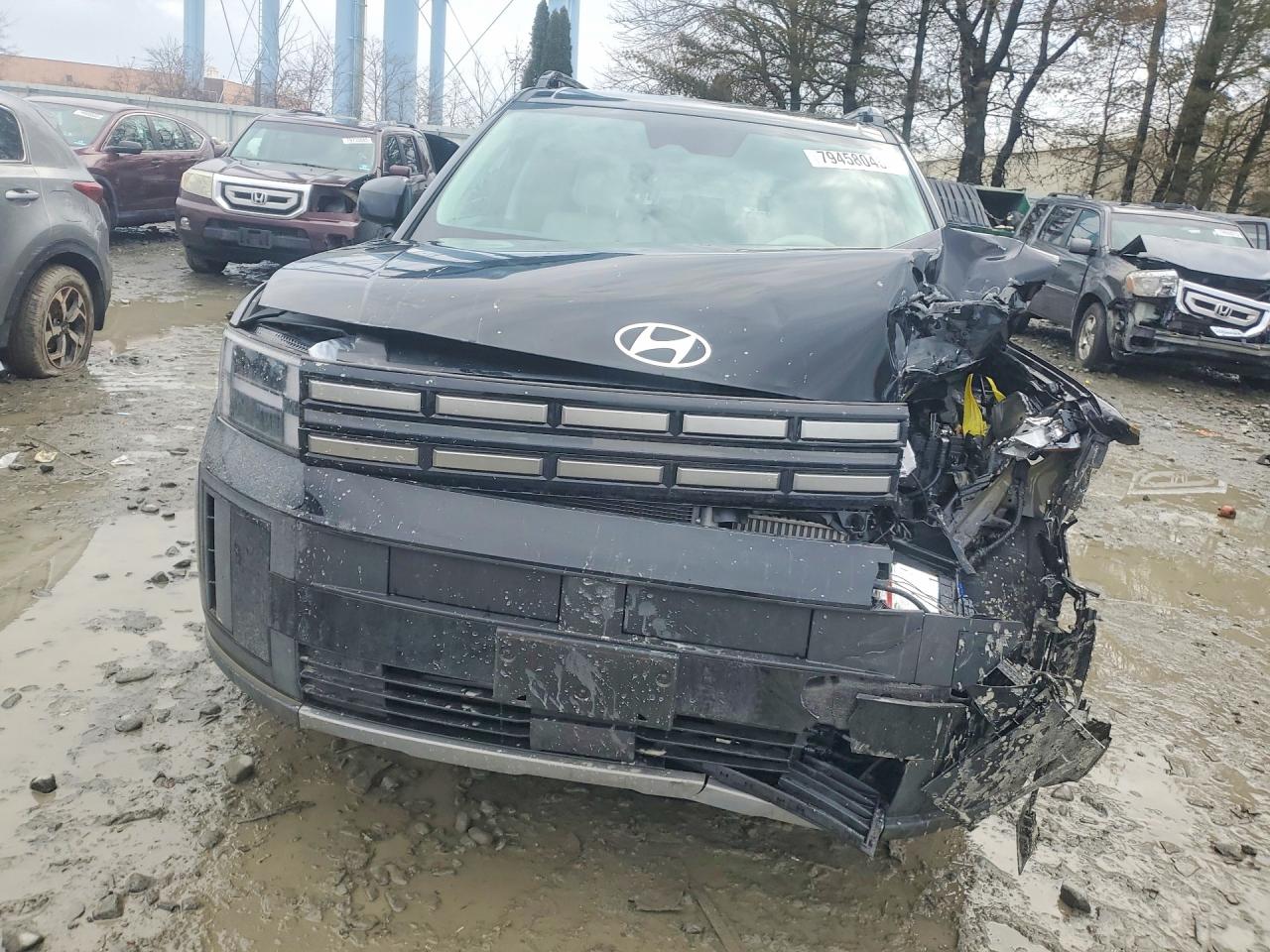 2025 HYUNDAI SANTA FE SEL photo 9
