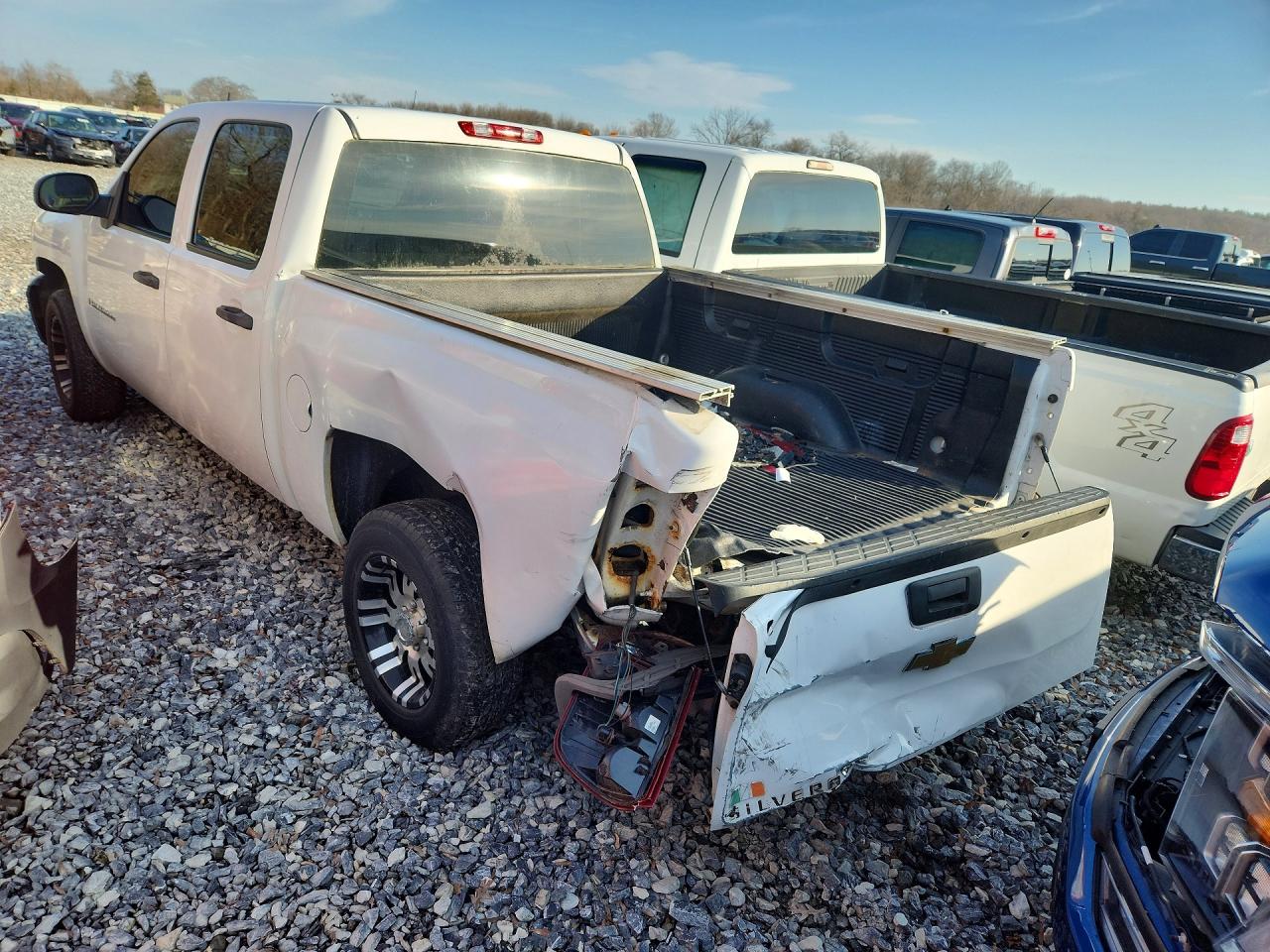2009 CHEVROLET SILVERADO C1500 photo 2