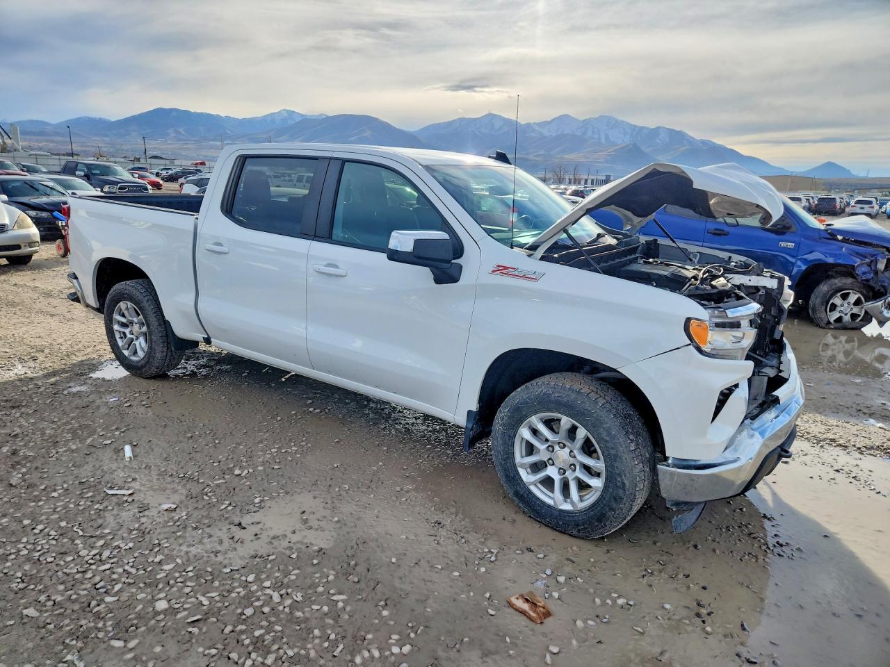 2023 CHEVROLET SILVERADO K1500 LT photo 7