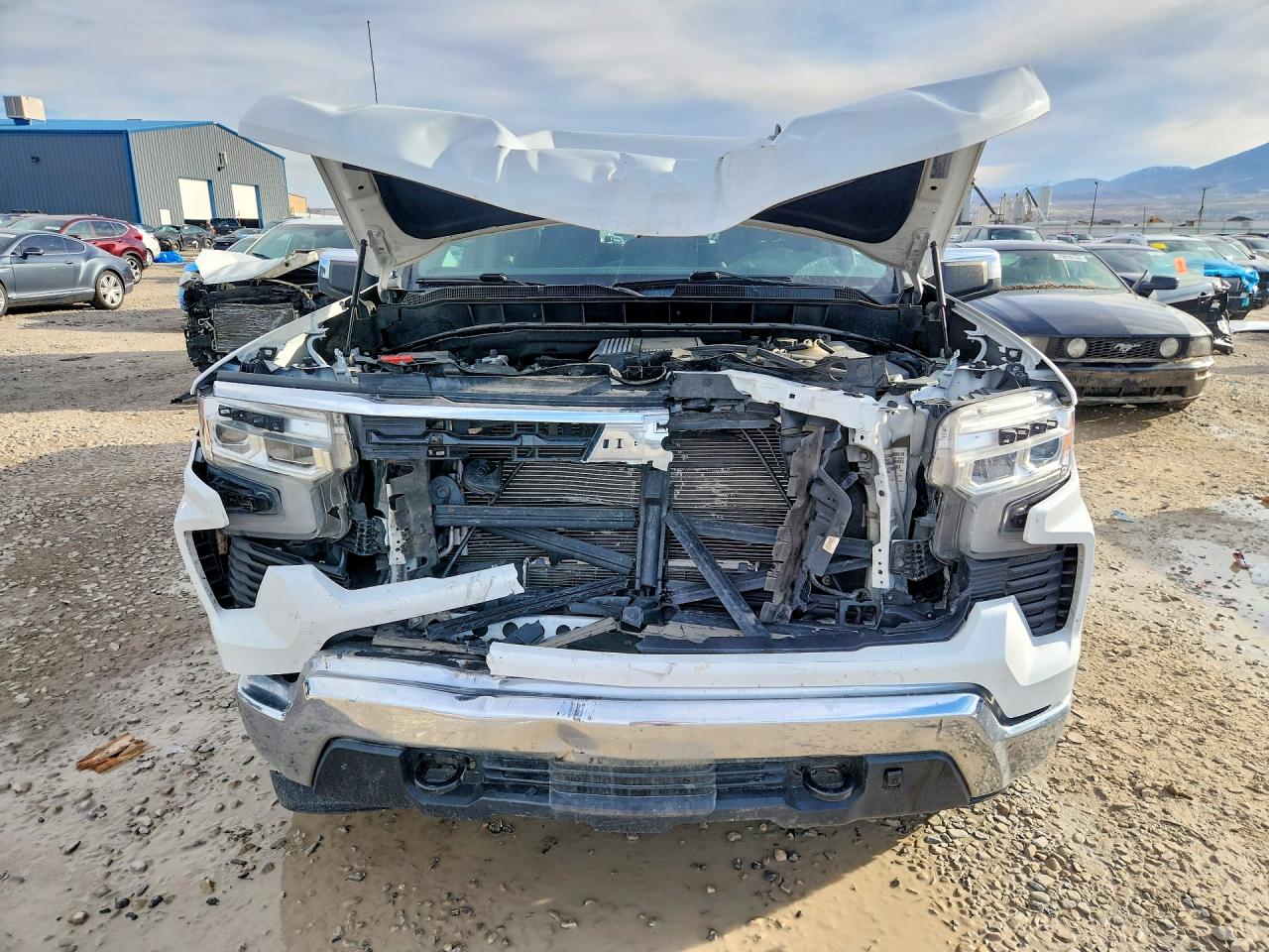 2023 CHEVROLET SILVERADO K1500 LT photo 9