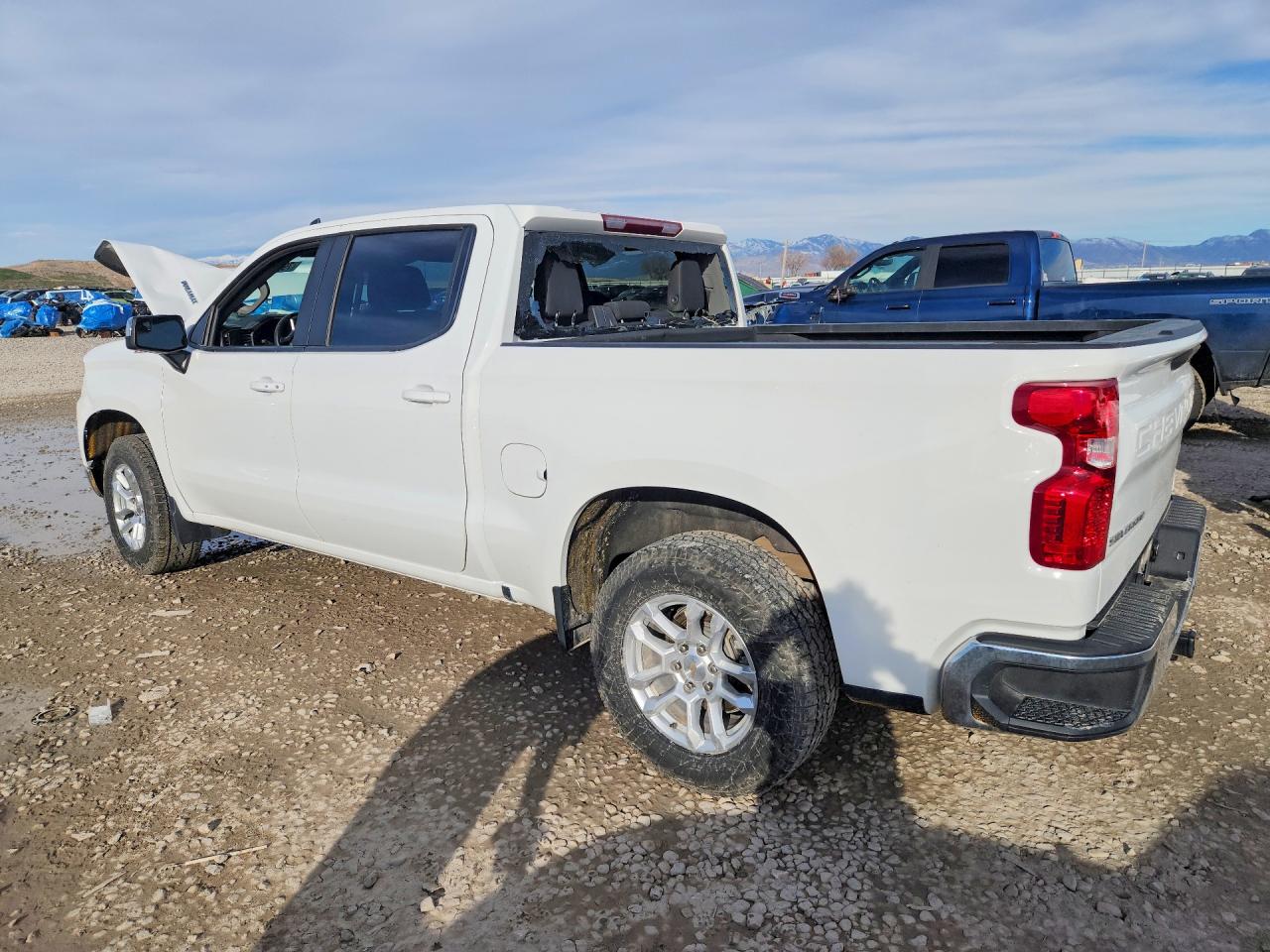 2023 CHEVROLET SILVERADO K1500 LT photo 3