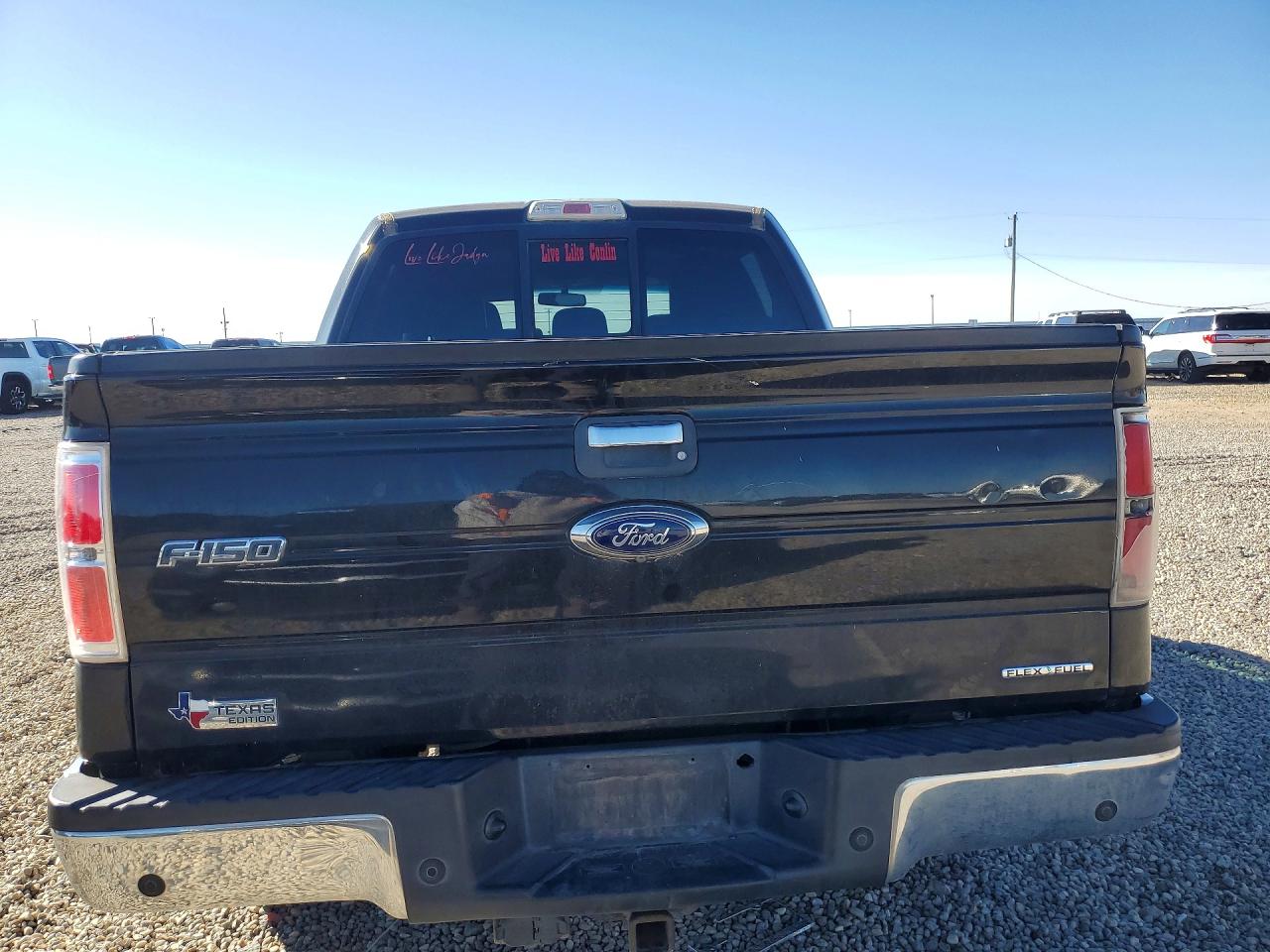 2014 FORD F150 photo 6
