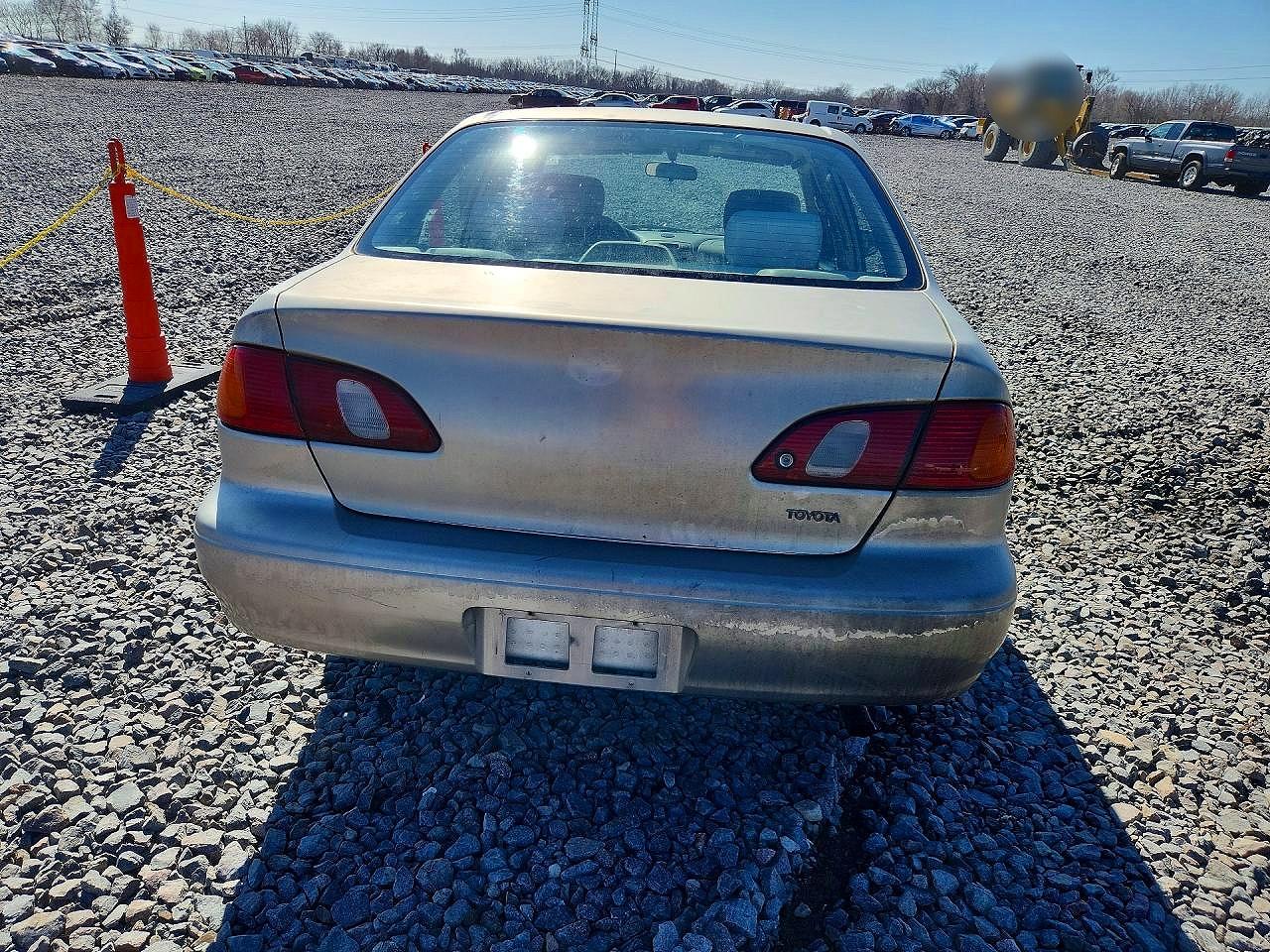 1999 TOYOTA COROLLA VE photo 6