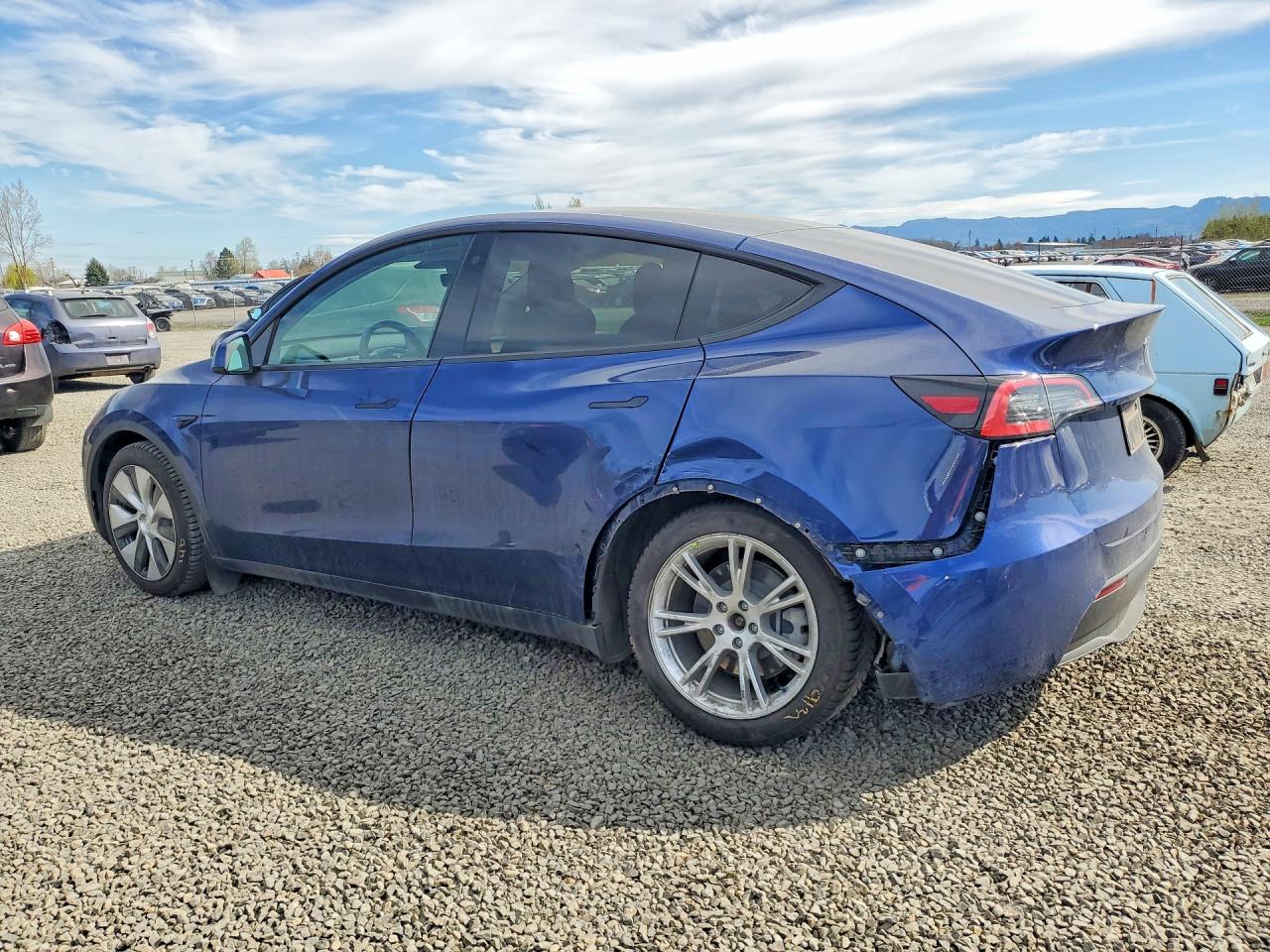 2021 TESLA MODEL Y photo 3