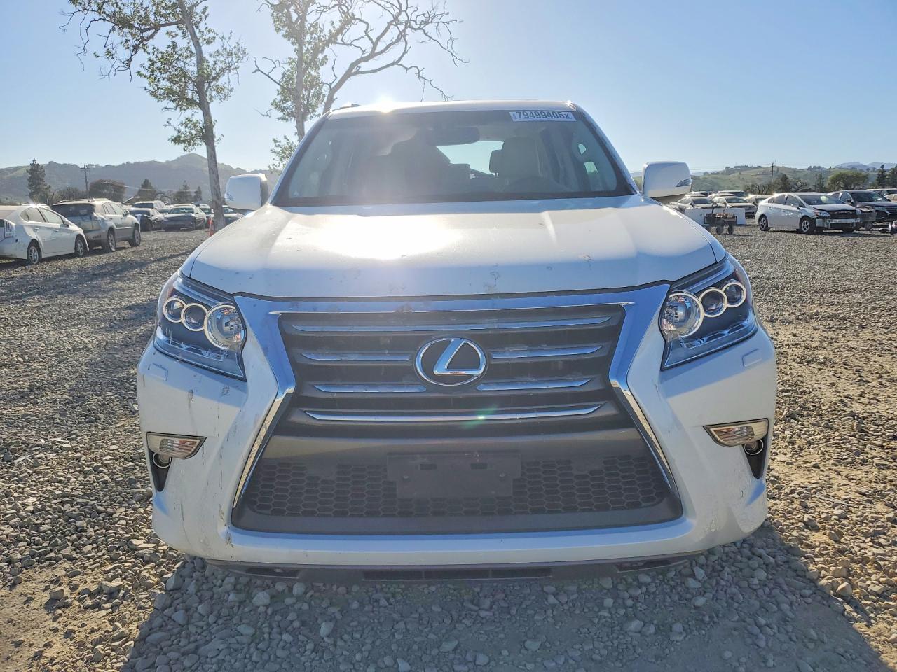 2018 LEXUS GX photo 9