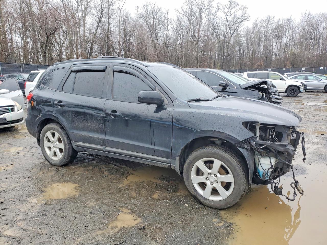 2009 HYUNDAI SANTA FE SE photo 7