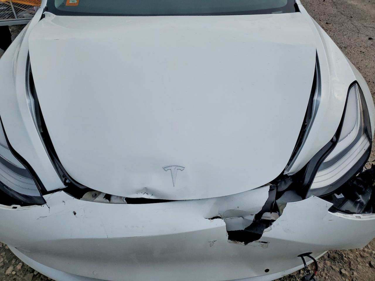 2020 TESLA MODEL 3 photo 11