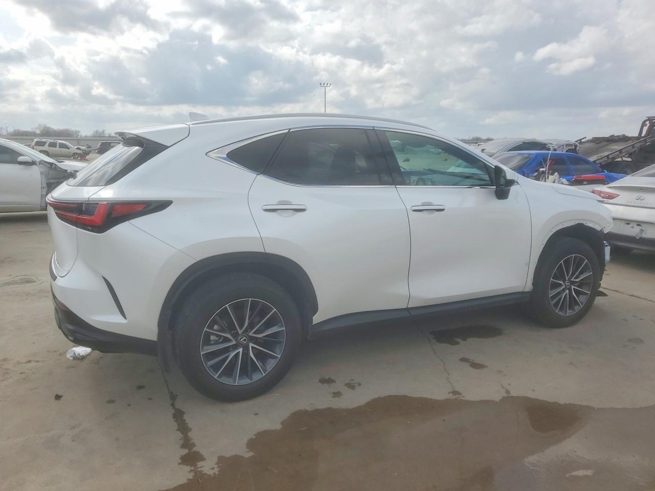 2025 LEXUS NX 250 PREMIUM photo 7