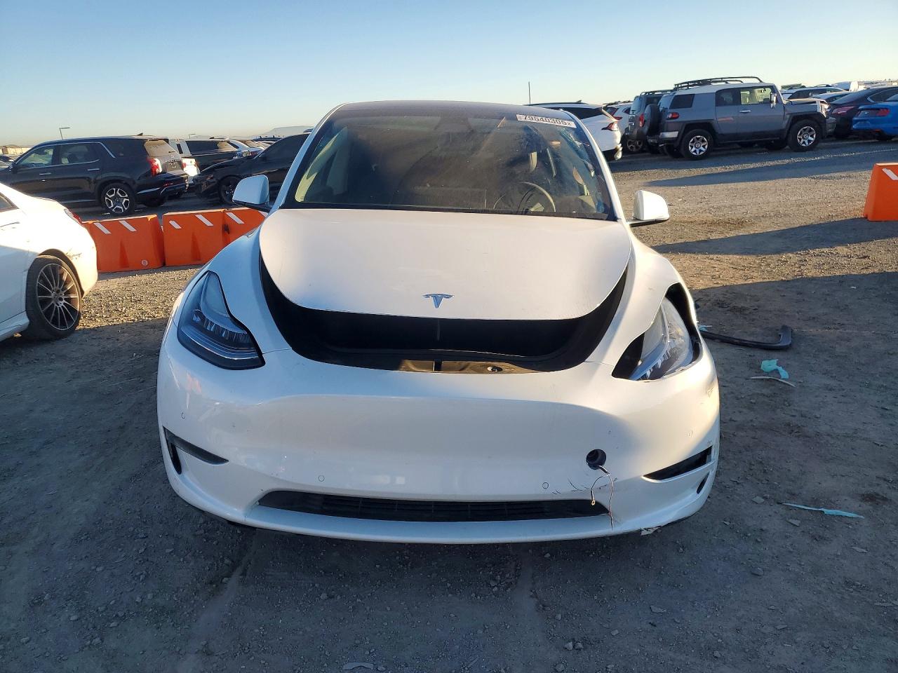 2021 TESLA MODEL Y photo 9