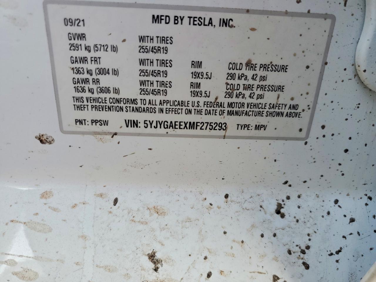2021 TESLA MODEL Y photo 25