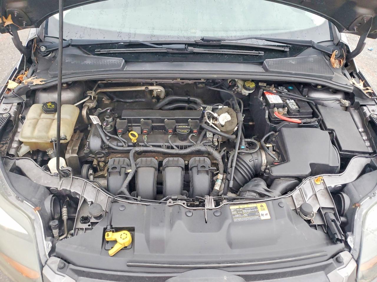 2014 FORD FOCUS SE photo 21
